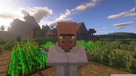 Villager .